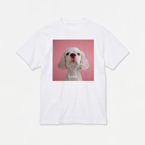 予約：urday【Animal／White Dog／P】フォトTシャツ（9407684）ホワイト/urday（マミアン）